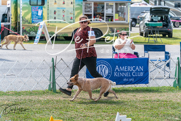 20250829-DSC00669