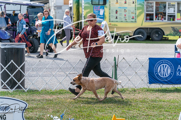 20250829-DSC00676