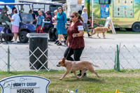 20250829-DSC00680