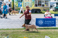 20250829-DSC00672