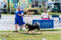 20250829-DSC00686