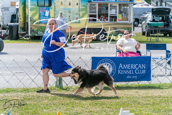 20250829-DSC00686