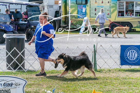 20250829-DSC00694
