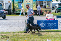 20250829-DSC00695