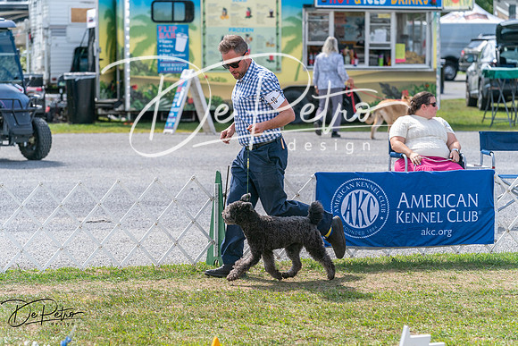20250829-DSC00695