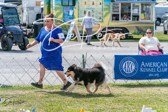 20250829-DSC00690