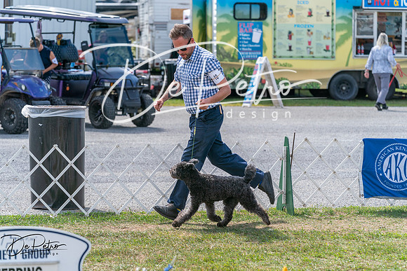 20250829-DSC00702