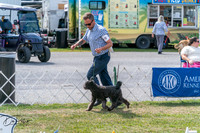 20250829-DSC00699