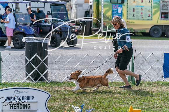 20250829-DSC00727