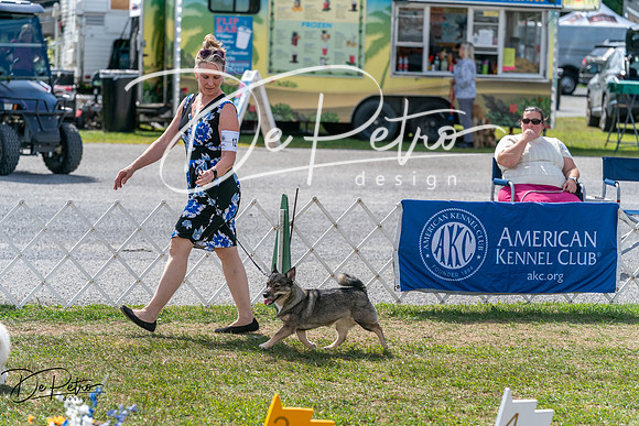 20250829-DSC00746