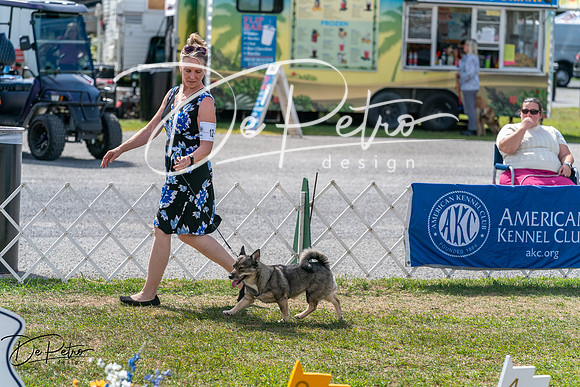 20250829-DSC00749
