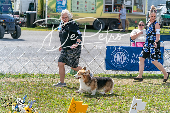 20250829-DSC00741