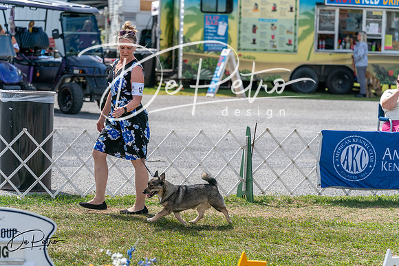 20250829-DSC00753