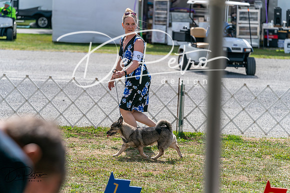20250829-DSC00757