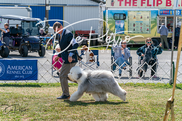 20250829-DSC00855