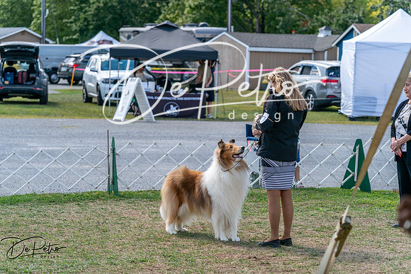 20250829-DSC00938