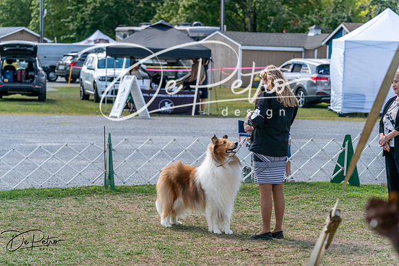 20250829-DSC00939