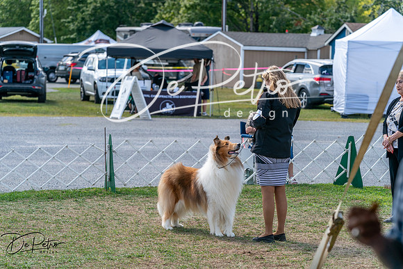 20250829-DSC00940