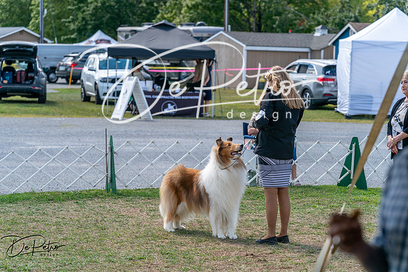 20250829-DSC00941