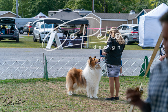 20250829-DSC00942