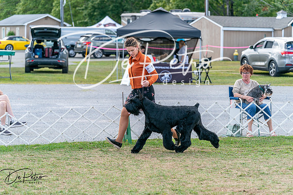20250829-DSC01043