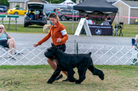20250829-DSC01029