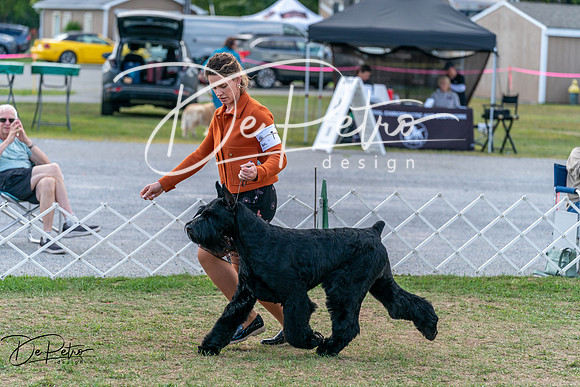 20250829-DSC01029