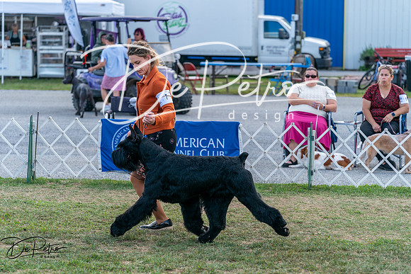 20250829-DSC01038