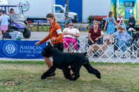 20250829-DSC01033
