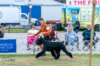 20250829-DSC01047