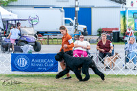 20250829-DSC01052