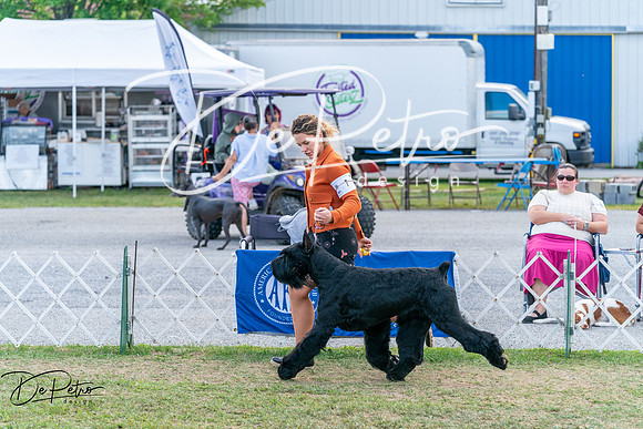 20250829-DSC01058