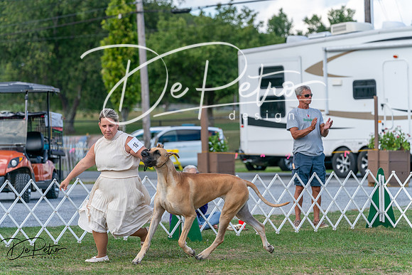 20250829-DSC00943