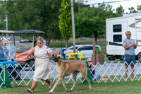 20250829-DSC00948
