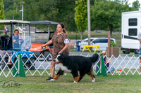 20250829-DSC00979