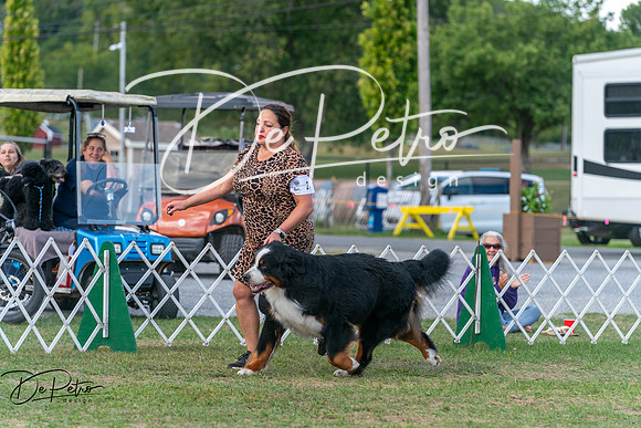 20250829-DSC00980