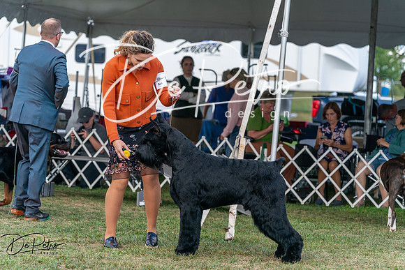 20250829-DSC01002