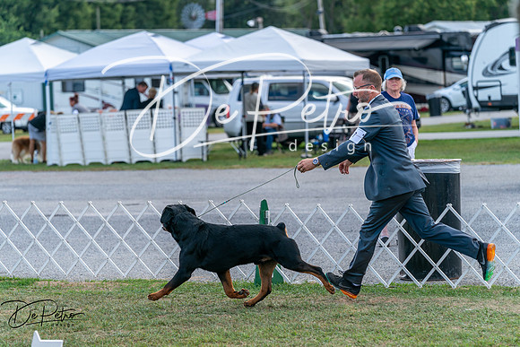 20250829-DSC01015