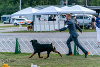 20250829-DSC01019