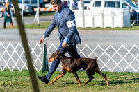 20250830-DSC01454