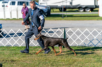 20250830-DSC01505