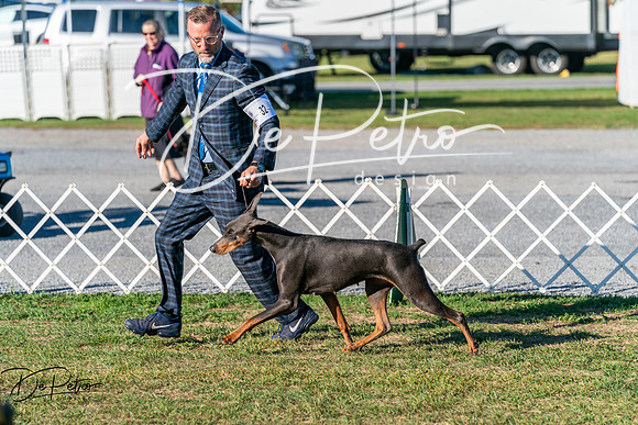20250830-DSC01505