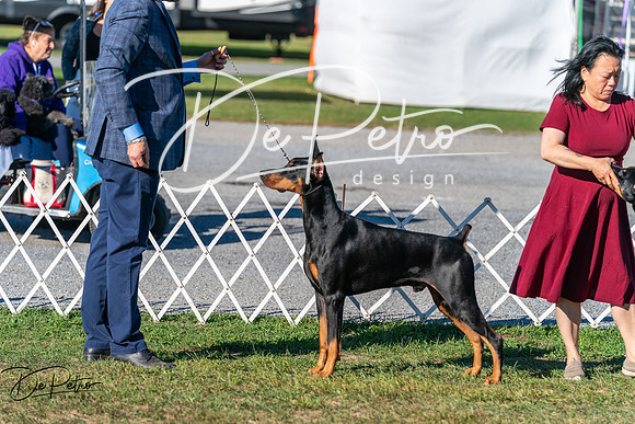 20250830-DSC01513