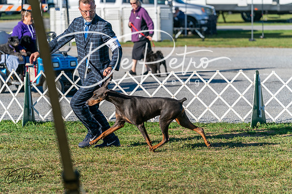 20250830-DSC01510