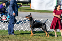 20250830-DSC01514