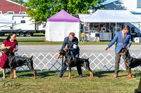20250830-DSC01524
