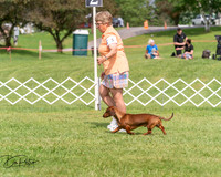 20250628-DSC08432