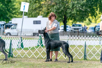 20250830-DSC04371