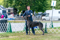 20250830-DSC04367