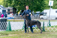 20250830-DSC04368